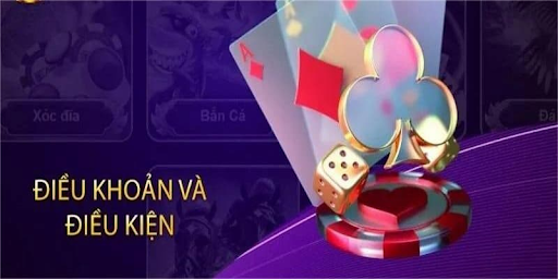 Điều khoản và điều kiện của Kingfun